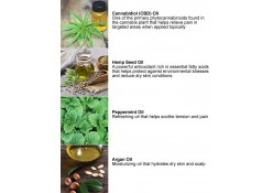 CBD DAILY CONDITIONER 16 OZ