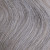 #9PA - Light Pearlescent Blonde 